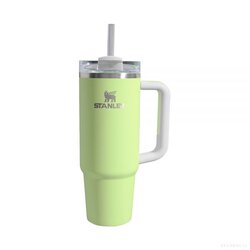 Adventure Quencher 2.0 TM Tumbler 30Oz Citron Color Block