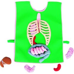 ชุดผ้ากันเปื้อนเรียนรู้ร่างกายของเรา สื่อการสอนอนุบาล,ปฐมวัย,ของเล่นเสริมพัฒนาการ, ของเล่นเสริมทักษะ