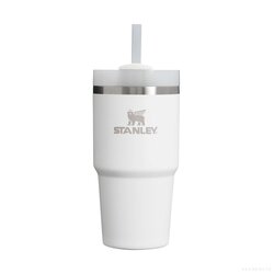 Adventure Quencher 2.0 TM Tumbler 20Oz Frost
