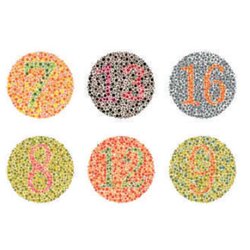 ชุดทดสอบตาบอดสี,ทดลองวิทยาศาสตร์ ,ของเล่นเสริมพัฒนาการ, สื่อการสอนเด็กอนุบาล