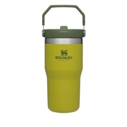 Classic Flip Straw Tumbler 20Oz Aloe