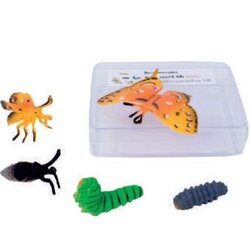 ธรรมชาติชีวิตผีเสื้อ,สื่อการสอนประถมศึกษา,ของเล่นเสริมพัฒนาการ, ของเล่นเสริมทักษะ,ทดลองวิทยาศาสตร์,พร้อมส่ง