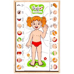 จับคู่ร่างกายของฉัน (ภาษาไทย) , ของเล่นไม้, ของเล่นเสริมพัฒนาการ,สื่อการสอนอนุบาล,ปฐมวัย, ,ของเล่นเสริมพัฒนาการ, ของเล่นเสริมทักษะ