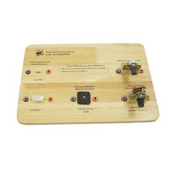 ตัวอย่างตัวต้านทานแบบต่างๆ,สื่อการสอนประถมศึกษา,ของเล่นเสริมพัฒนาการ, ของเล่นเสริมทักษะ,ทดลองวิทยาศาสตร์,พร้อมส่ง