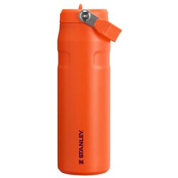 Iceflow™ Aerolight Flip Straw Water Bottle 24Oz Tigerlily Plum