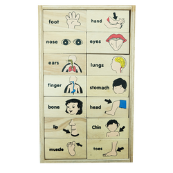 โดมิโนภาพกับคำอ่านภาษาอังกฤษชุด อวัยวะ , ของเล่นไม้, ของเล่นเสริมพัฒนาการ, ของเล่นเด็กอนุบาล, สื่อการสอนเด็กอนุบาล