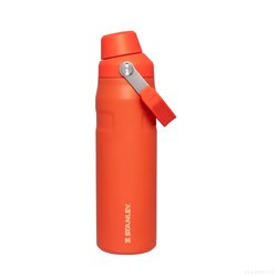 Iceflow TM AeroLight Fast Flow Water Bottle 24Oz TigerLily
