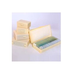 รวมชุดแผ่นสไลด์ตัวอย่างเนื้อเยื่อ และโครงสร้างของพืช 27 ตัวอย่าง,สื่อการสอนประถมศึกษา,ของเล่นเสริมพัฒนาการ, ของเล่นเสริมทักษะ,ทดลองวิทยาศาสตร์,พร้อมส่ง