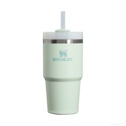 Adventure Quencher 2.0 TM Tumbler 20Oz Mist