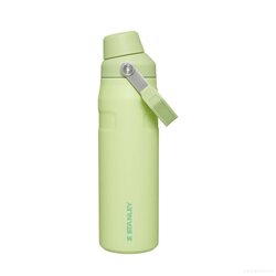 Iceflow TM AeroLight Fast Flow Water Bottle 24Oz Citron