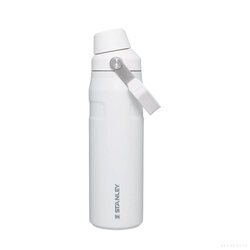 Iceflow TM AeroLight Fast Flow Water Bottle 24Oz Frost
