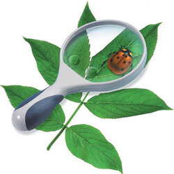 แว่นขยายใหญ่พิเศษ , ของเล่นเสริมพัฒนาการ, ของเล่นเด็กอนุบาล, สื่อการสอนเด็กอนุบาล