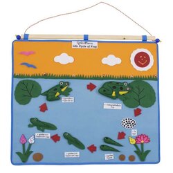 กระดานแขวนแสนสนุก แผงผ้าวงจรชีวิตกบ สื่อการสอนอนุบาล,ปฐมวัย, ,ของเล่นเสริมพัฒนาการเด็ก, ของเล่นเสริมทักษะ, พร้อมส่ง