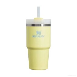 Adventure Quencher H2.0 Flowstate TM Tumbler 20Oz Citron