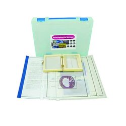 ชีววิทยาการเจริญ,ทดลองวิทยาศาสตร์,ของเล่นเสริมพัฒนาการ, ของเล่น, สื่อการสอน, วิทยาศาสตร์ ,พร้อมส่ง