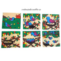 เกมลำดับเหตุการณ์ นก, ภาพติดแม่เหล็กวงจรชีวิต นก ,ของเล่นเสริมพัฒนาการ ,ของเล่นเสริมทักษะ,ของเล่นเด็ก, สื่อการสอนอนุบาล