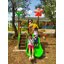 เครื่องเล่นสนาม,ของเล่นสนาม,ของเล่นเด็ก, สไลด์เดอร์ ,OutdoorPlayground ,IndoorPlayground, ชุด ปลาดาวเพื่อนรัก สินค้าพร้อมส่ง คิดค่าส่งตามจริง