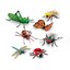 ชุดโมเดลของโลกแมลง insect, ทดลองวิทยาศาสตร์ของเล่นเสริมทักษะ,ของเล่นเสริมพัฒนาการเด็ก, สือการสอนครูปฐมวัย, พร้อมส่ง