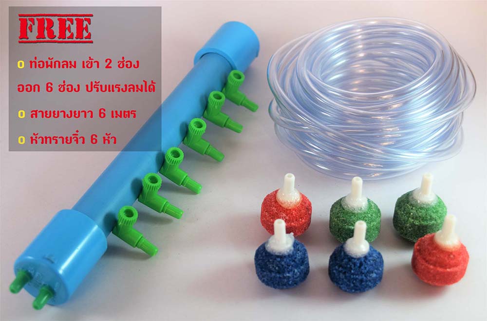 ปั้มลม ปั้มออกซิเจน 2 ทาง Magic 8800 แถมฟรีท่อพักลมและอุปกรณ์พร้อมใช้งาน