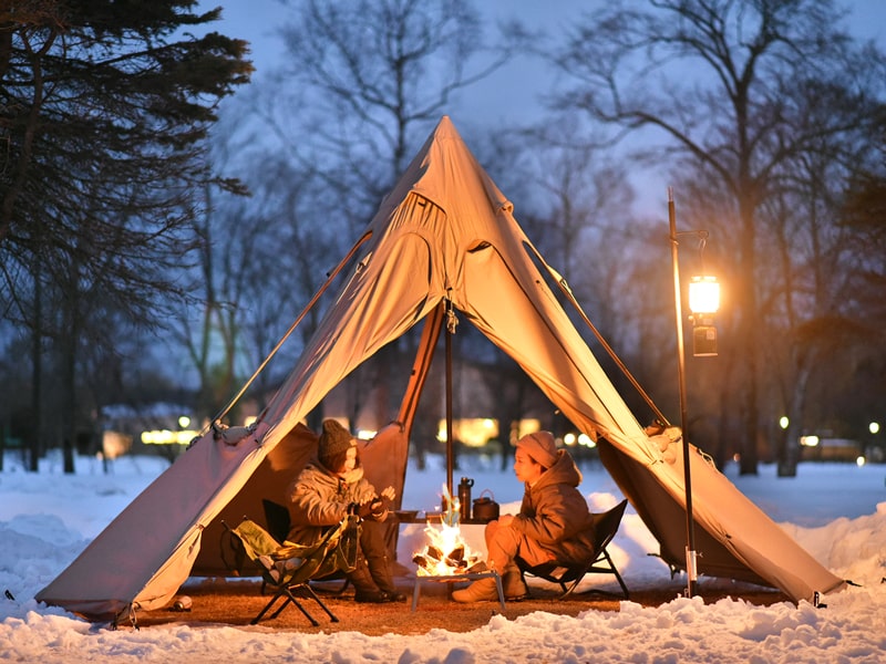 DoD Secret of grill Big Q5-574-SL