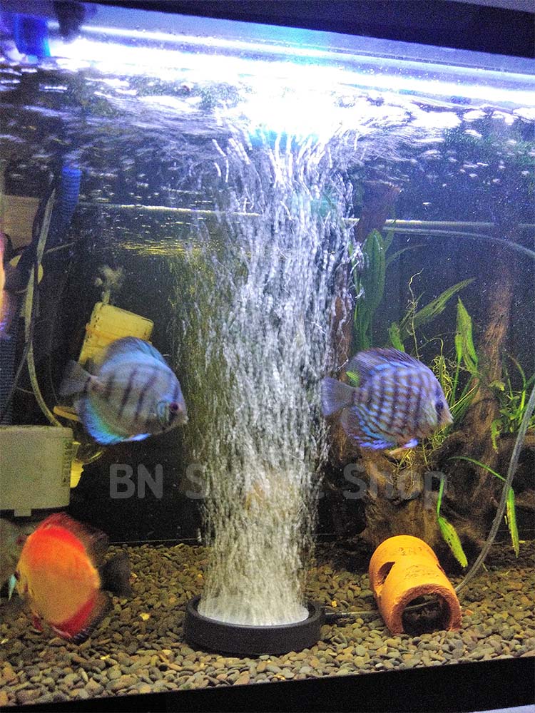 หัวทรายจานแบบมีขอบ รุ่น ฺฺB022 เส้นผ่าศูนย์กลาง 4 นิ้ว ฟองอากาศมีความละเอียดสูง