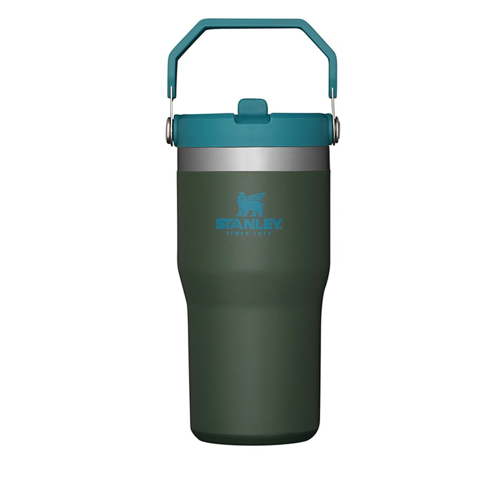 Classic Flip Straw Tumbler 20Oz Spirulina