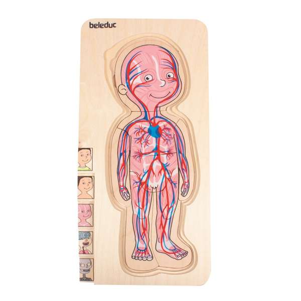 ชุดเกมบล็อกไม้ร่างกายเด็กชาย สื่อการสอนอนุบาล,ปฐมวัย,ของเล่นเสริมพัฒนาการ, ของเล่นเสริมทักษะ