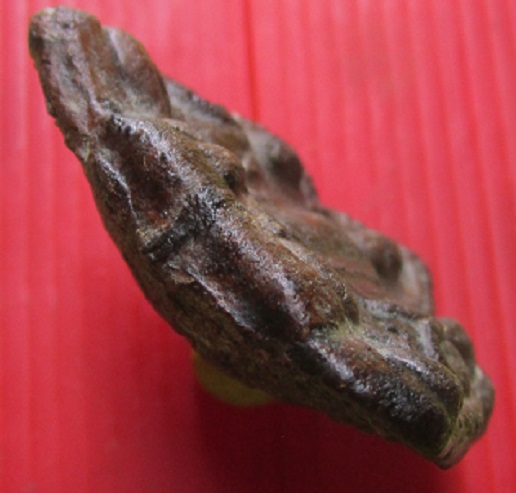 พรเนื้อผงว่านหน้าเคลือบแล็ค พระสามพี่น้องโมคลาสารีบุตร หลังอูม ไม่ทราบที่