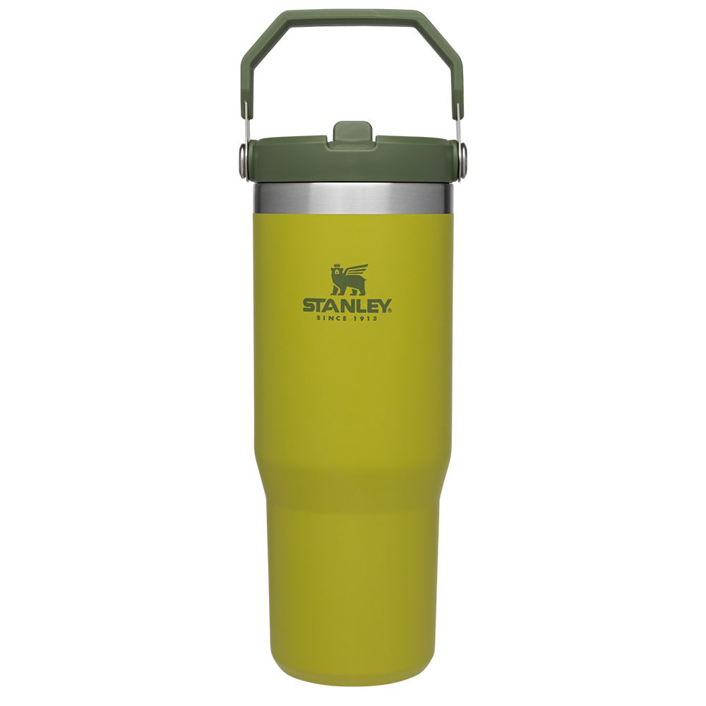 Classic Flip Straw Tumbler 30Oz Aloe