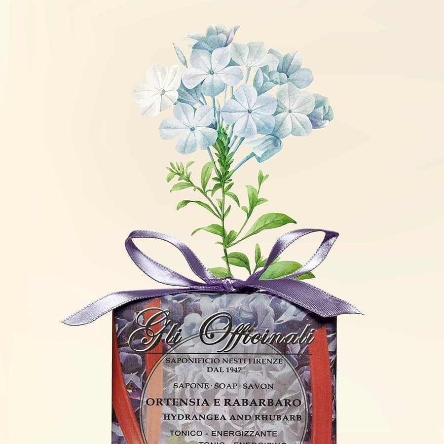 Nesti Dante Hydrangea and Rhubarb (200g)