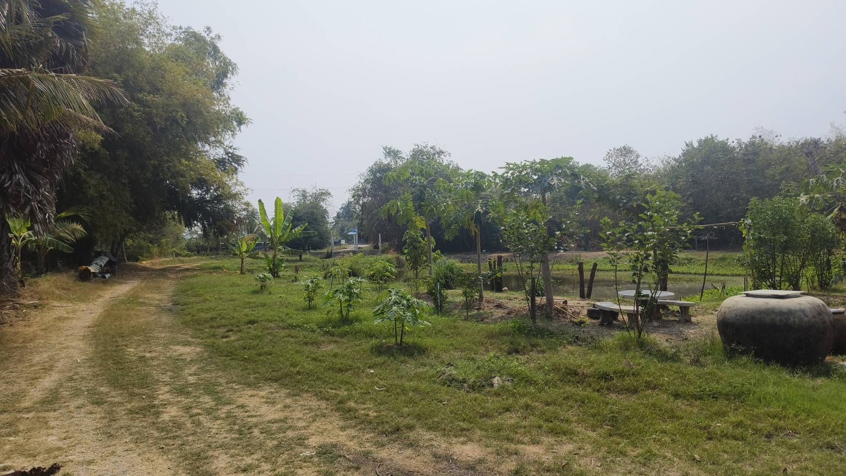 🌿 ขายด่วน! ที่ดินติดแม่น้ำ ทำเลทอง แหล่งท่องเที่ยว จ.นครปฐม 📍 บางระกำ บางเลน นครปฐม