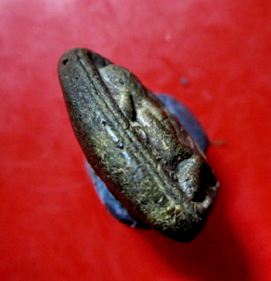 พระปิดตา เนื้อผงว่านเก่า วัดระเว จ.นครราชสีมา เนื้อพระแห้งเก่าครับผม