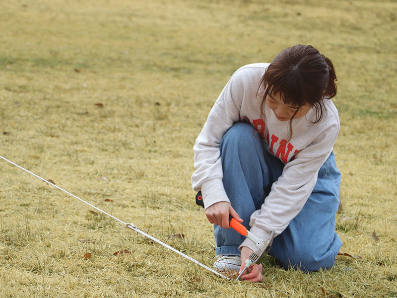 DoD One Pole Tent 3PP Tan T3-44-TN