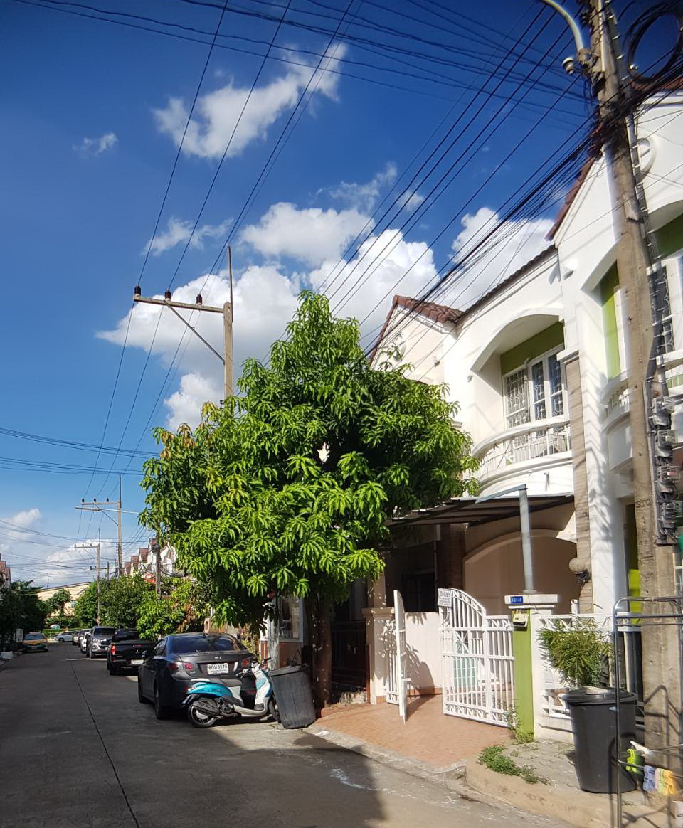 ให้เช่า ทาวน์เฮ้าส์ 2 ชั้น หมู่บ้านปาริชาติ ปิ่นเกล้า-พุทธมณฑลสาย4 บนทำเลศักยภาพ ใกล้ ม.มหิดล เซ็นทรัลศาลายา และ ทางด่วน พร้อมเฟอร์นิเจอร์ เครื่องใช้ไฟฟ้า