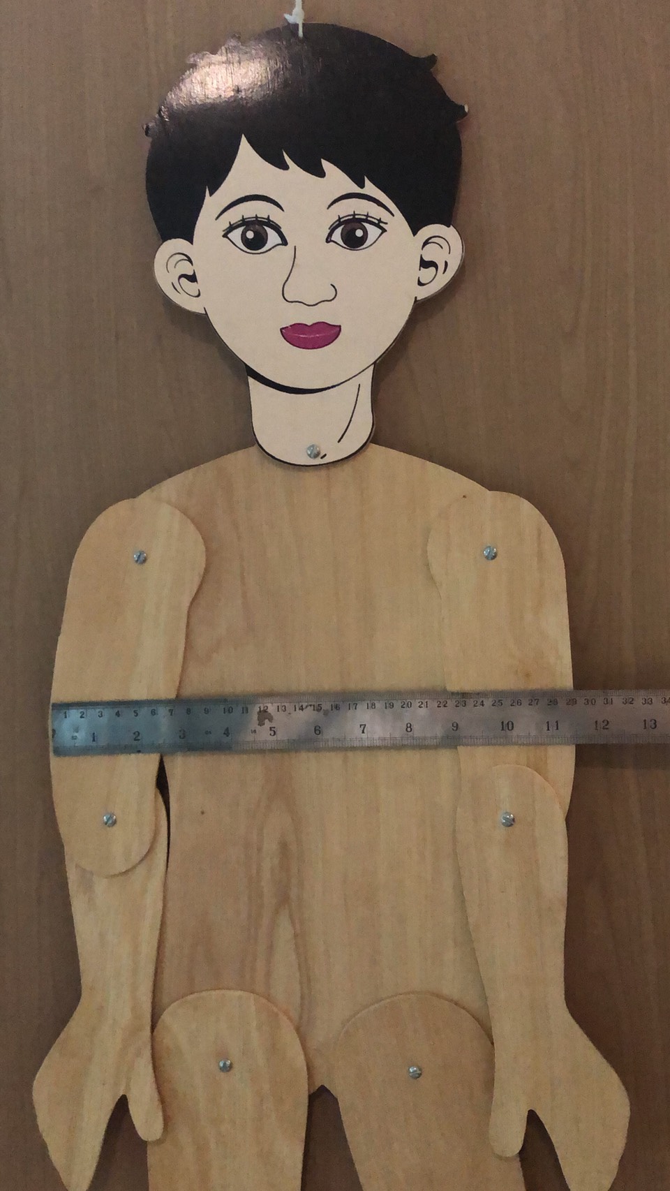 ร่างกายของฉันชาย หญิง แยกจำหน่าย , ของเล่นไม้, ของเล่นเสริมพัฒนาการ, ของเล่น,สื่อการสอนปฐมวัย