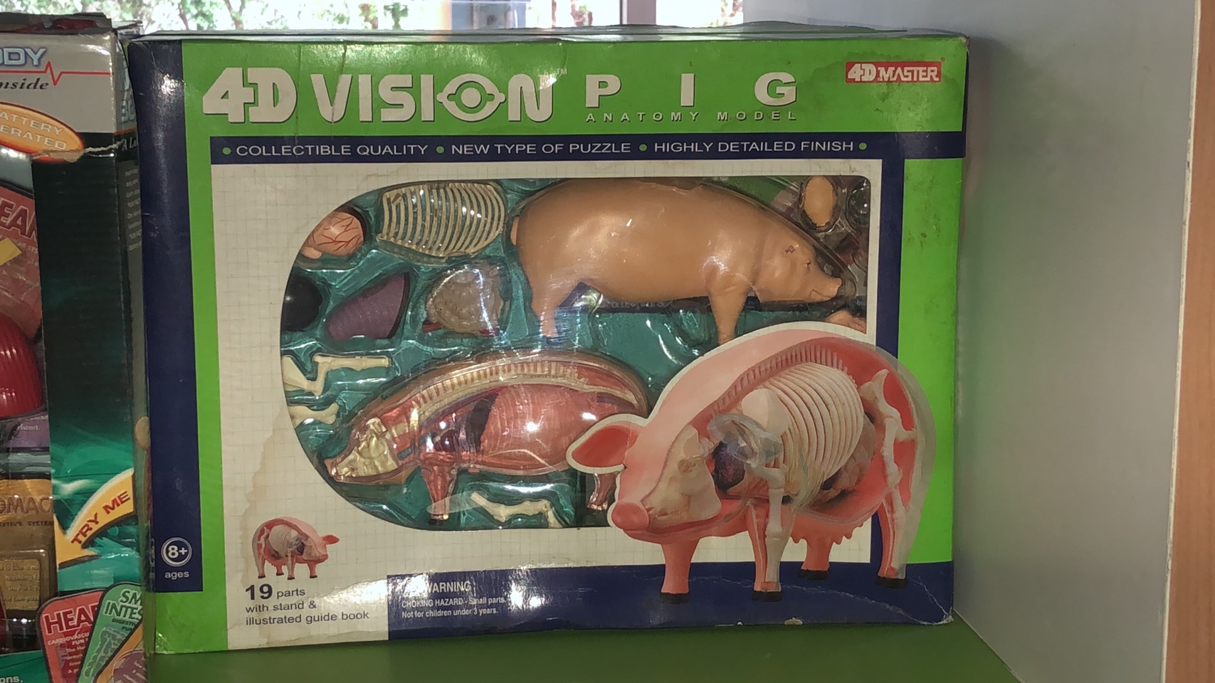 โมเดลหมู(4D Vision) ของเล่นเสริมพัฒนาการ,สื่อการสอนอนุบาล,ปฐมวัย, ,ของเล่นเสริมพัฒนาการ, ของเล่นเสริมทักษะ