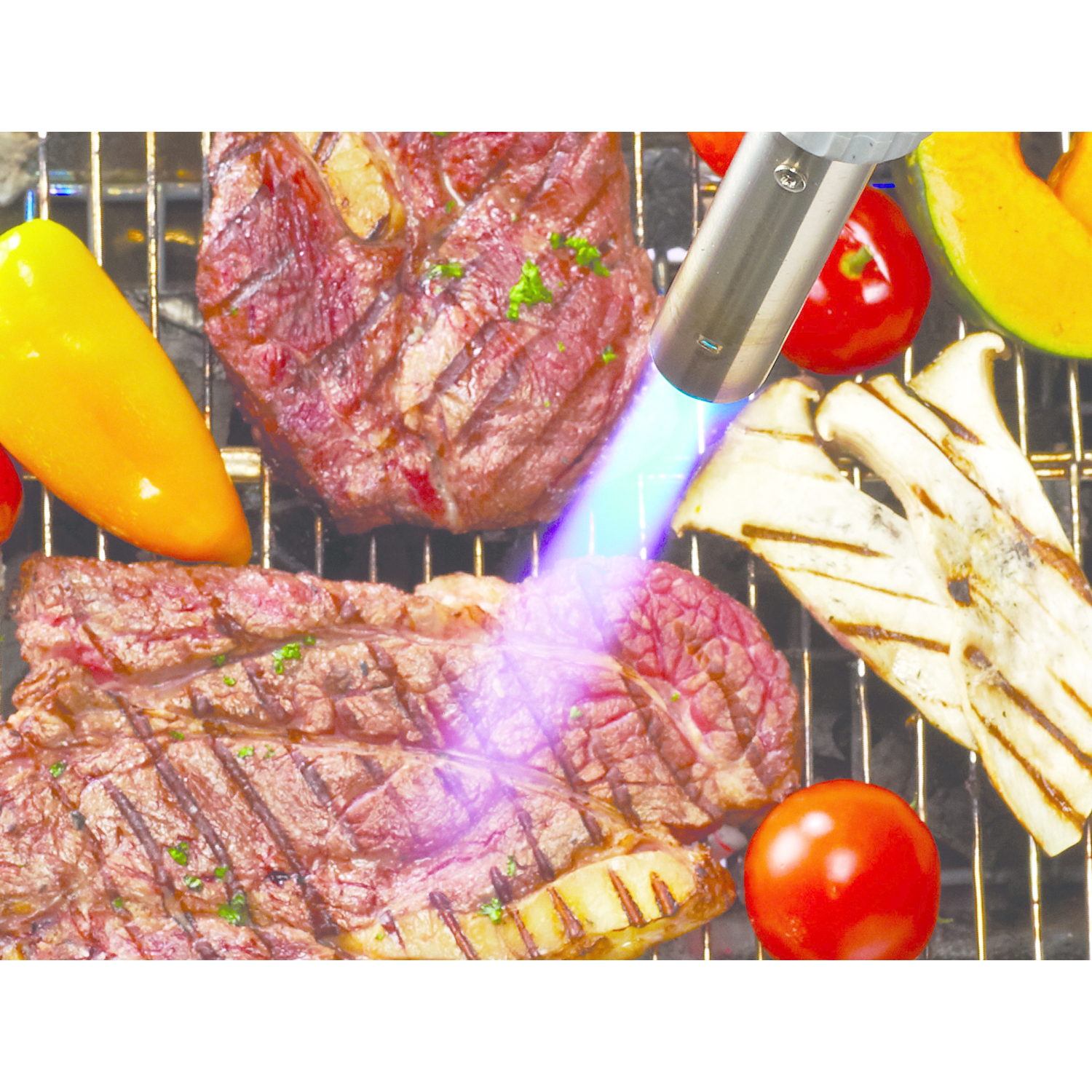 Pro Chef or Cook Master Torch