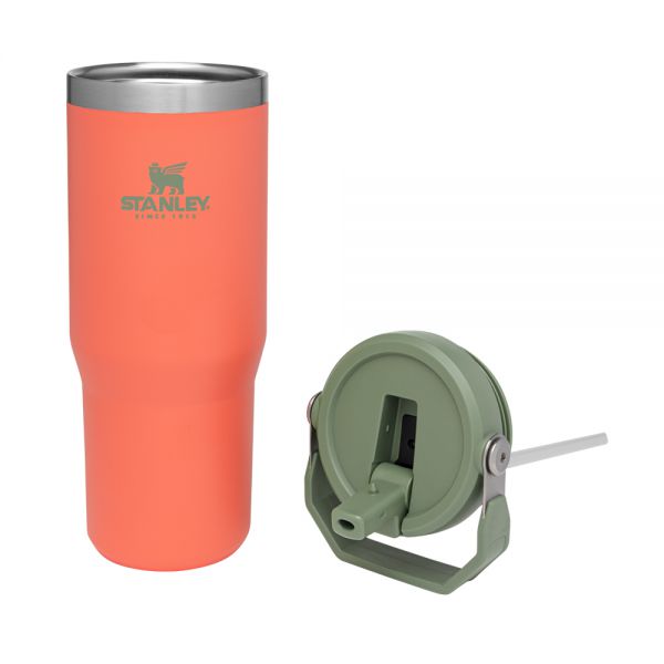 Classic Flip Straw Tumbler 30Oz Guava