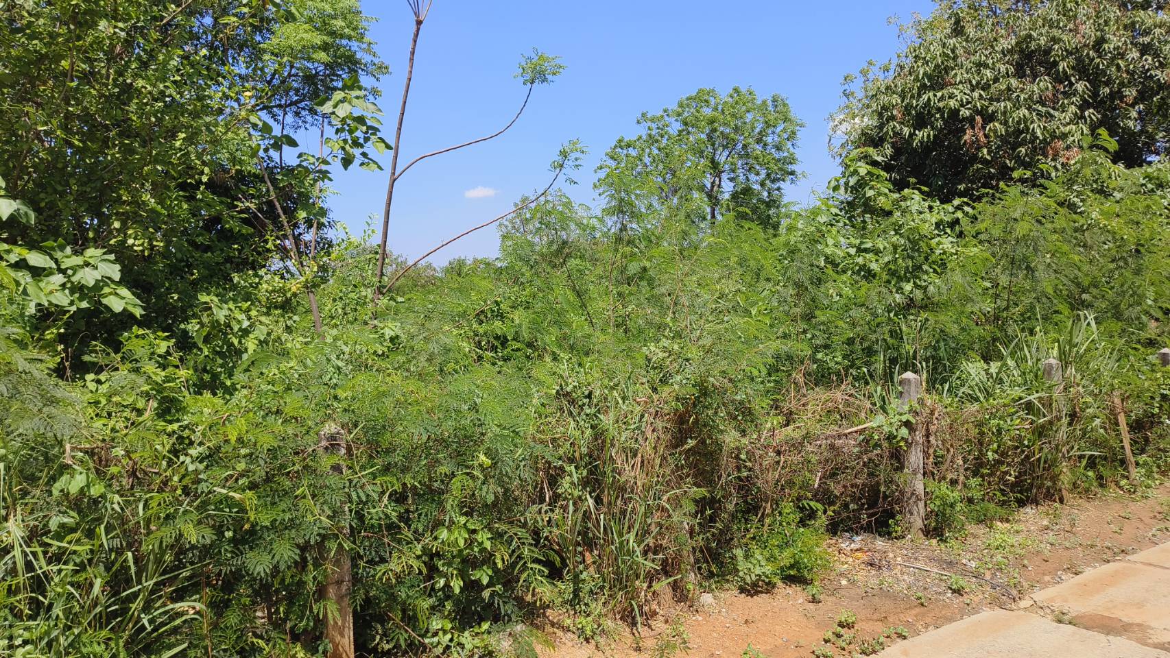 ขายที่ดิน 400 ตร.วา อยู่ในเขตเทศบาลตำบลลาดบัวขาว อำเภอสีคิ้ว นครราชสีมา