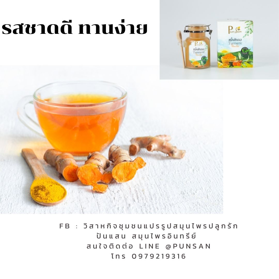 ผงขมิ้นชันอินทรีย์ Tumeric Powder Organic