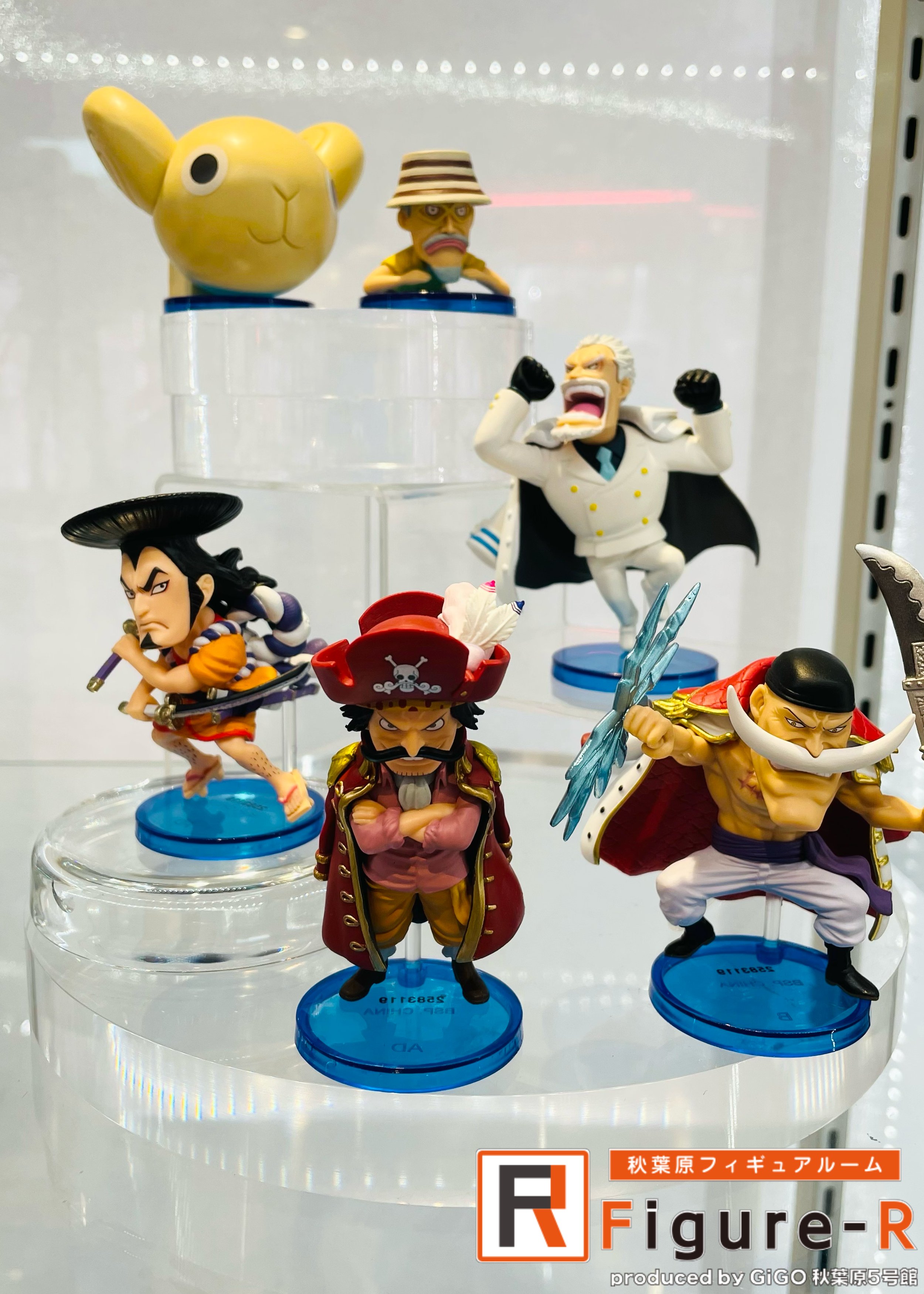 Garp ของแท้ JP แมวทอง - WCF Banpresto [โมเดลวันพีช]