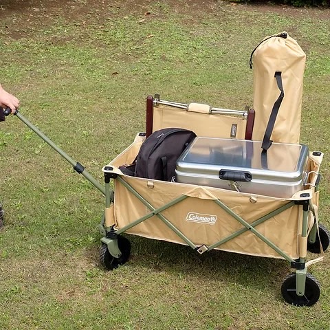 CM Wagon OD19 Brown Japan 34678 TOLC0559