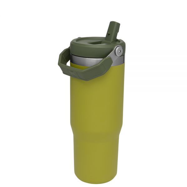 Classic Flip Straw Tumbler 30Oz Aloe