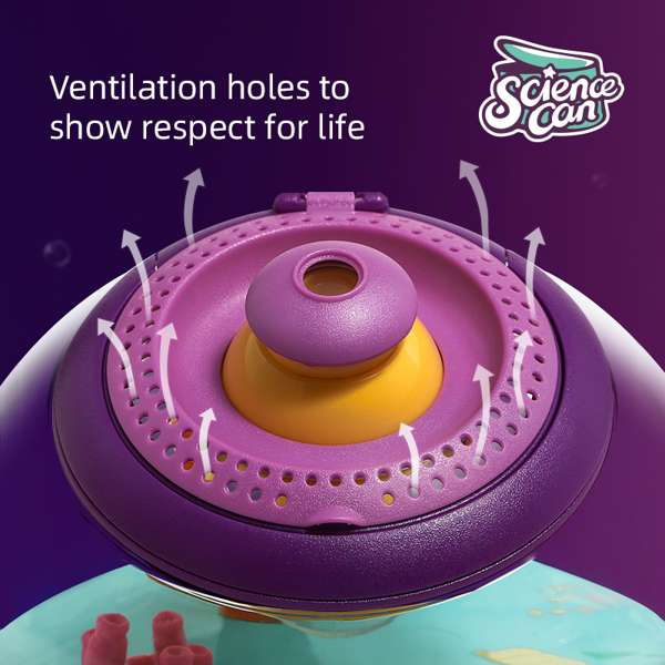 ชุดกล่องเลี้ยงปลาและแมลง สื่อการสอนอนุบาล,ปฐมวัย,ของเล่นเสริมพัฒนาการ, ของเล่นเสริมทักษะ