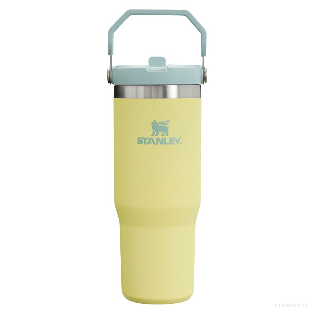 Classic Flip Straw Tumbler 30Oz Pomelo