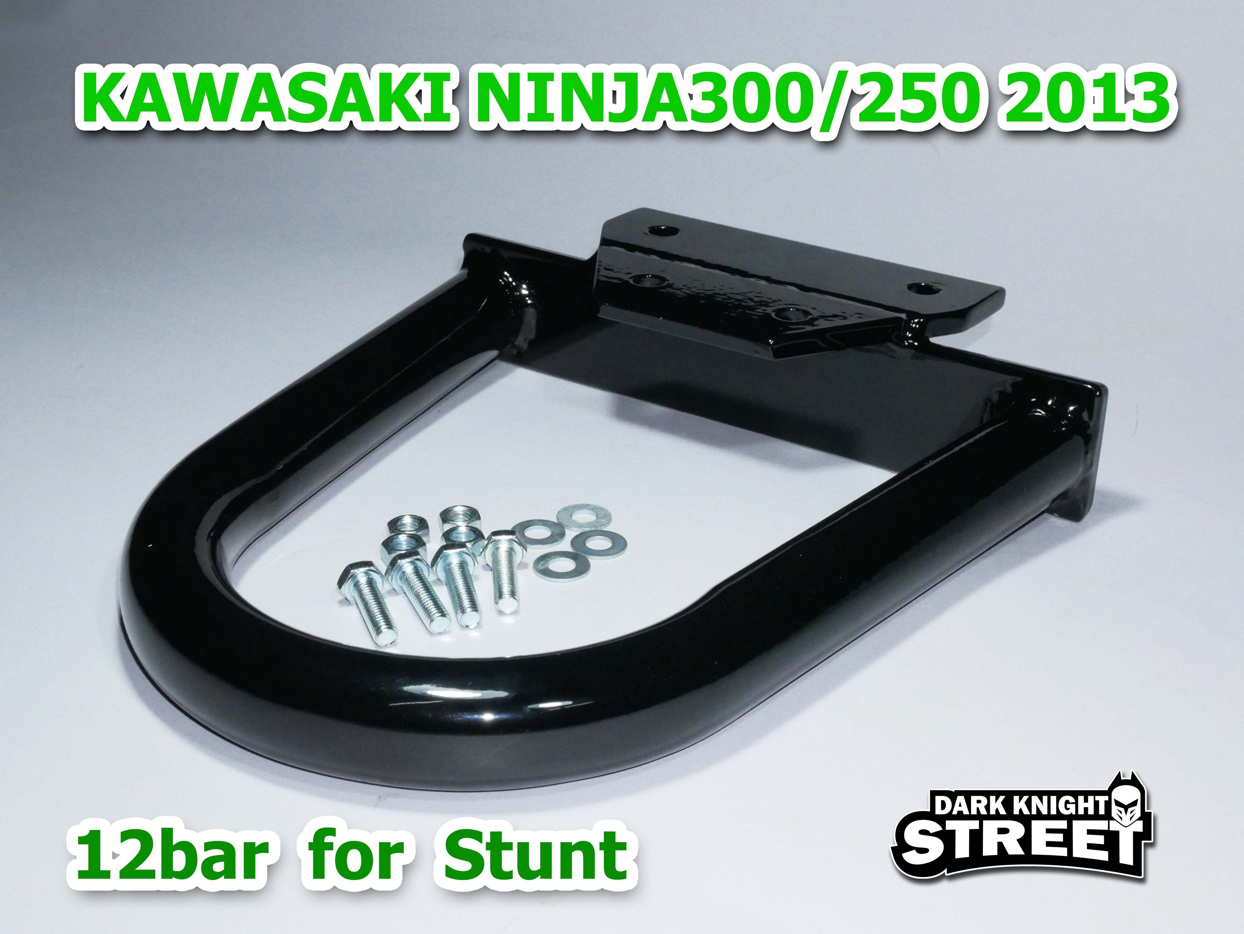 Ninja250R Tail round bar protection