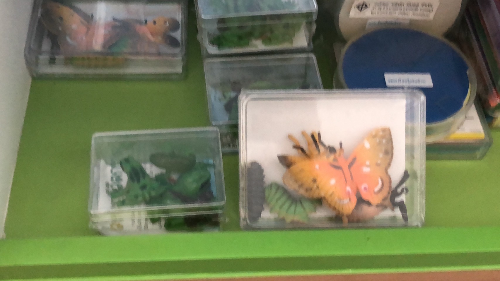 วงจรชีวิต กบ , ของเล่นเสริมพัฒนาการ, ของเล่นเด็ก, สื่อการสอน,อนุบาล ,โรงเรียน,ห้องวิทยาศาสตร์ ,ของเล่นจำลอง ,พร้อมส่ง