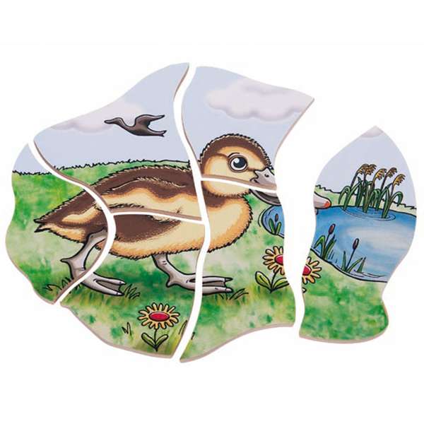 เกมปริศนา-วงจรชีวิตของเป็ด , ของเล่นไม้, ของเล่นเสริมพัฒนาการ, ของเล่นเด็กอนุบาล, สื่อการสอนเด็กอนุบาล, สื่อการสอนประถม,พร้อมส่ง