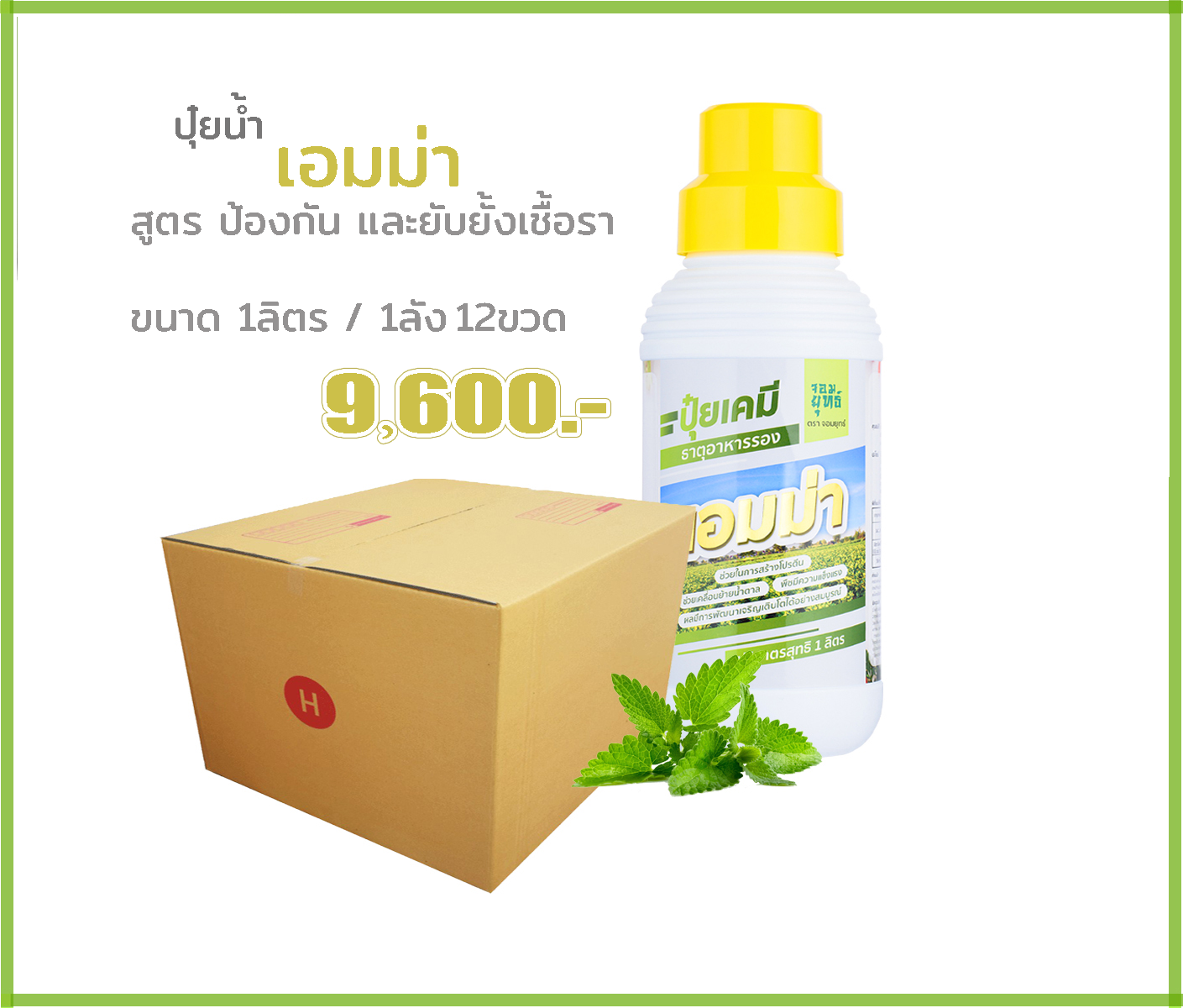 เอมม่า สูตรป้องกันเชื้อรา1ลิตร 1ลัง12ขวด (แถมฟรี เสื้อเอฟอช 1 ตัว)