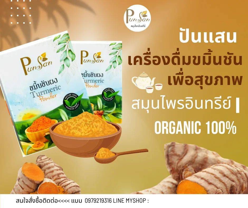 ผงขมิ้นชันอินทรีย์ Tumeric Powder Organic